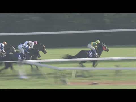 2018 Queen Elizabeth II Cup (Japan) International Group 1 2200m