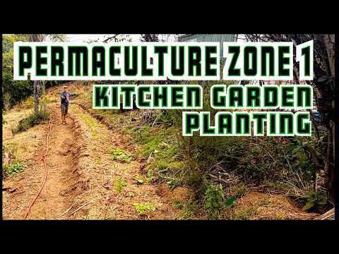 Planting a Kitchen Garden. Zone 1. Survival Garden