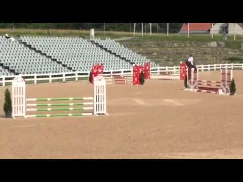 Cor de Lord by Cor de la Bryere - Lord Z, 4y old, 6/15, his first show 1,10m
