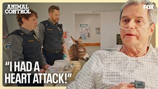 show video image in three sizes