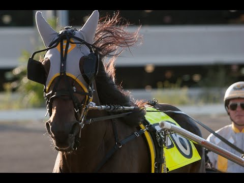 Jeff Zidek interviews trainer Ron Burke