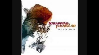 Strapping Young Lad - Decimator (The New Black) 2006