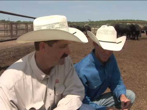 The Texas Beef Story: A Family Business