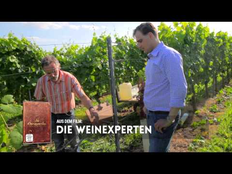 Die Weinexperten: Das Einpflanzen einer neuen Wein-Rebe (Teil 1/3)