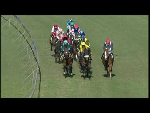 20200620 Hollywoodbets Greyville express clip Race 5 won by EDEN GARDENS GLITZ