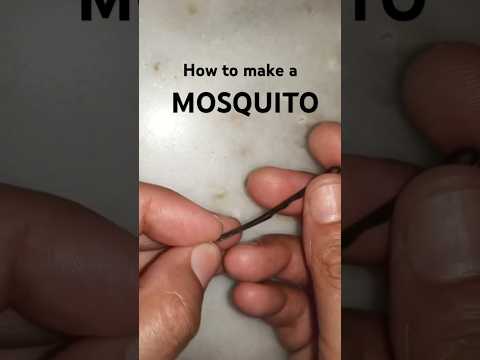 Bobbi pin Mosquito || MOSQUITO Pain || Things we did in school
