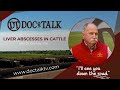DocTalk Ep 560 - Liver Abscesses with Dr. Dan Loy