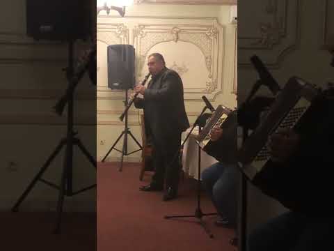 Nelu Bosoi ,Sorin Necunoscutu ,Florin Sandor si Turcitu program