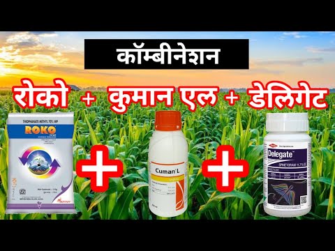 Roko fungicide/cuman l/delegate