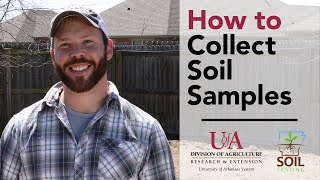 Soil Testing: How to Collect Soil Samples at Home