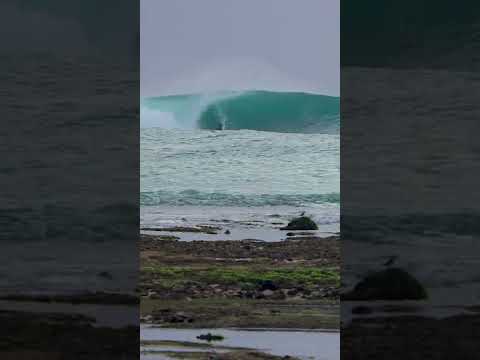 Low Tide Drainers #shorts