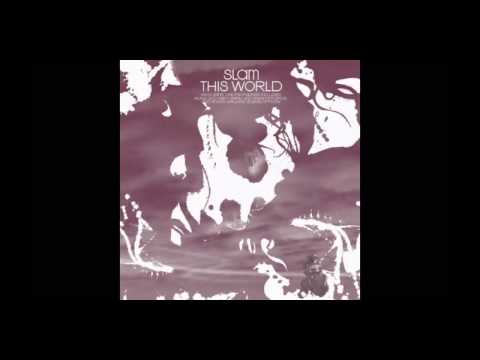 Slam Featuring Tyrone Palmer - This World (Wighnomy Brothers Robag Wruhme & Bukkelfipps Mix)