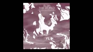 Slam Featuring Tyrone Palmer - This World (Wighnomy Brothers Robag Wruhme & Bukkelfipps Mix)