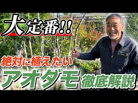 屋外の中庭デザイン菜園トレンド2022