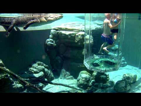 Couple in Cage of Death