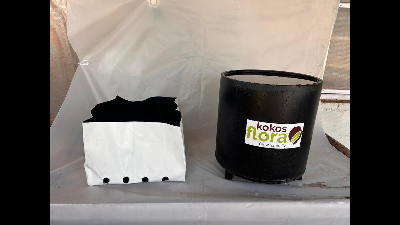 Open Top Growbag - Cocopeat Block Volume Expansion Process