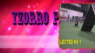 Old Dogs Never Die (Leader voor nieuwe DVD.)