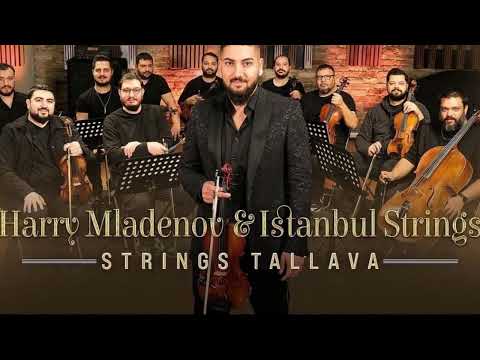 İstanbul strings ft Harry Mladenov ft Eskişehirli Göksel Roman Tallava 2023 Roman Havası #tiktok