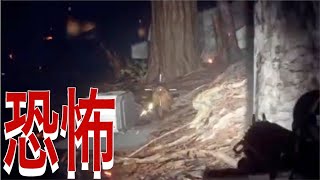 初見で楽しく遊んでいたらホラゲーに... 【スターウォーズバトルフロント２】