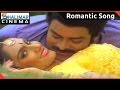 Donga Mogudu Telugu Movie Ee Chempaku Selaviyyaku Video Song Chiranjeevi Madhavi Radhika