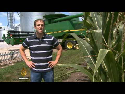 Suša tjera farmere sa posjeda - Al Jazeera Balkans