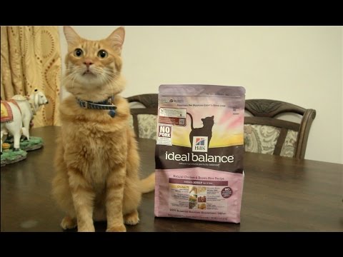 Hill's Ideal Balance Natural Chicken & Brown Rice Recipe For cats