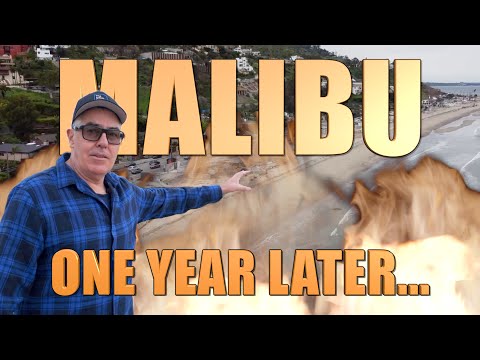 MALIBU 🔥 ONE YEAR LATER 🔥 The Adam Carolla Vlog