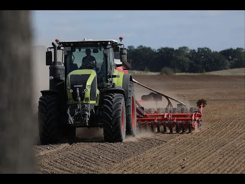 Rheinland-Pfalz zahlt 176 Millionen Euro EU-Direktzahlungen an Landwirte aus