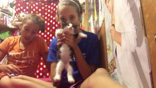 first video