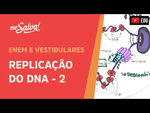 Me Salva! GEN03 - Genética -  Replicação do DNA - Parte 2