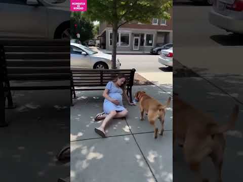 สุนัขยอดกตัญญูรู้คุณเลยเอาชีวิตเขาแลกเพื่อเอาน้ำขวดไปลาดน้ำใส่ตัวที่ผู้หญิงกำลังจะเป็นลม