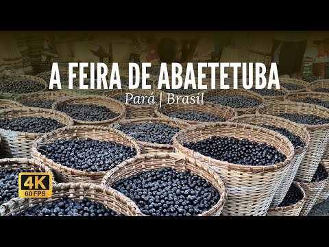 🇧🇷 One of the largest açaí producers in Brazil | Abaetetuba, Pará | 4K 60fps