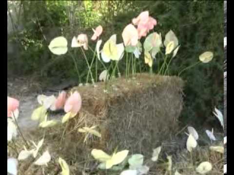 ONDA TG 3.08.2013 - ROMANTICA A BUGNARA