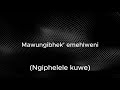 Fezeka Dlamini, Nomfundo Moh & Naledi Aphiwe  Uyangijabulisa (Lyrics)