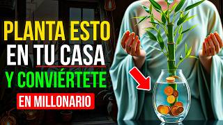 5 Plantas que Necesitas en tu Casa para Atraer Riqueza a tu Vida