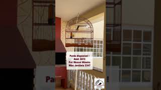 Pardo disponível ! 