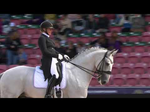 220807 WC Herning GP Imperador dos Cedros por Fie Christine Skarsoe