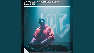 Download lagu Dj Papali Mamam Old Slow mp3