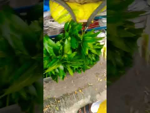 Fruits&flowers#Vinayakachavithi#vibes#latest video