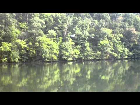 SuperCub Mods July 2013