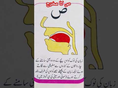 Saad (ص) Ka Makhraj | Urdu | Asan Tajweed #tajweed #makhraj #viral #shorts #ytshorts #shortvideos