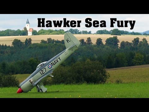 Hawker Sea Fury | giant scale RC plane | 4K | Nesvacily 2022