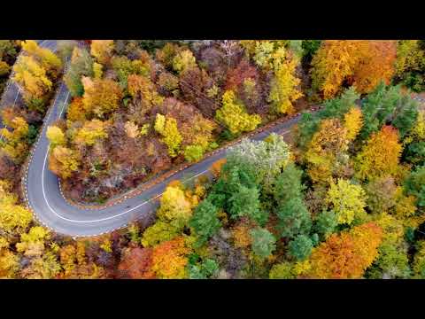 Toamna pe Valea Doftanei -Paltinu Prahova