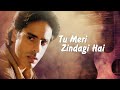 Tu Meri Zindagi Hai Kumar Sanu 90 S Hits Lyrical Status Rahul Roy Anu Agrawal