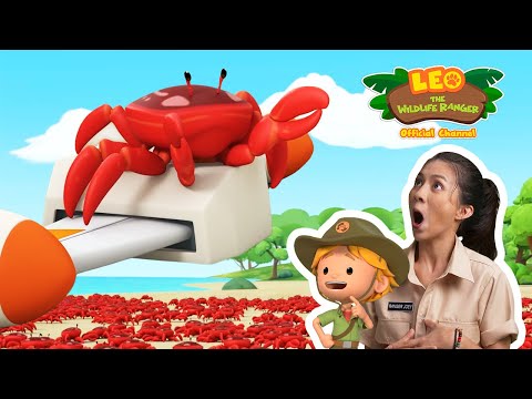 Witness21  2022 12 24