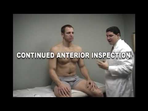 Shoulder Examination Part 1 - Shoulder Inspection (Anterior & Posterior)