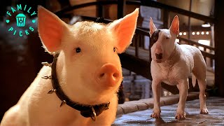 Download lagu Babe Saves the Bull Terrier | Babe: Pig in the City mp3