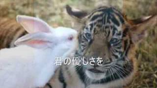 KAT-TUN NEIRO カラオケバージョン