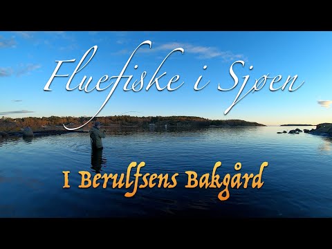 Fluefiske i sjøen. Episode 4 - 2025. I Berulfsens Bakgård. Med Eivind Berulfsen.