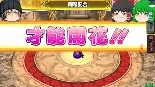 「ゆっくりどこパレ実況」34ページ目　ついに来た！？グレイツェルに神の踊り手が！！